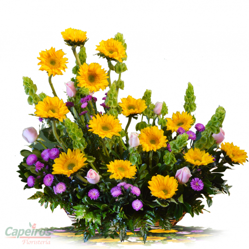 Canasta de Girasoles