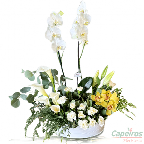 Orquideas 69