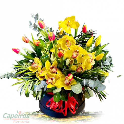 Tulipanes 52