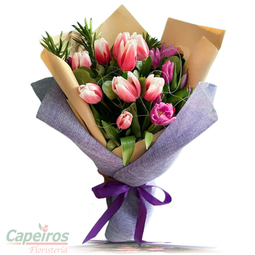Tulipanes 50 (20 Tulipanes)