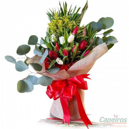 Ramos 137 (12 Tulipanes)