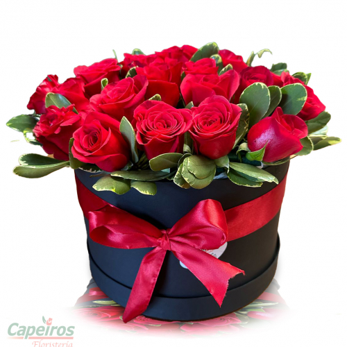 Rosas 154