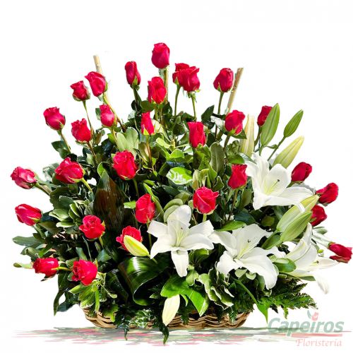 Rosas 155