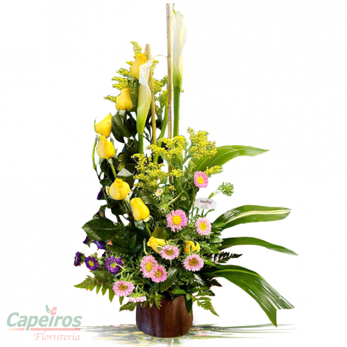 Primaverales 132