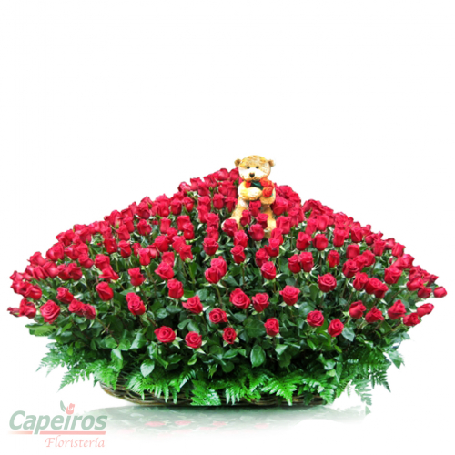 Especial 11 (250 rosas)