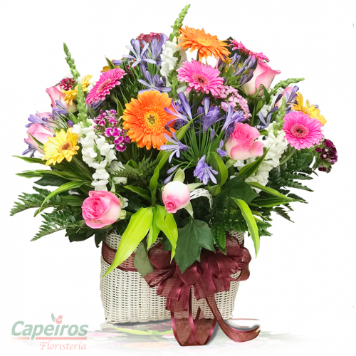 Primaverales 075