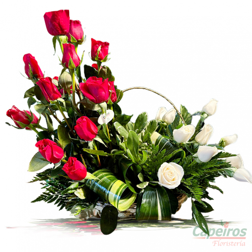 Rosas 150
