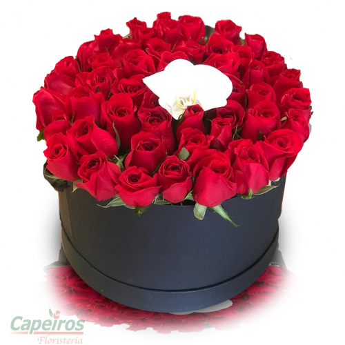 Caja de Rosas y Orquídea