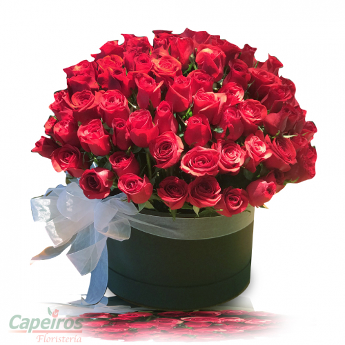 Rosas 082