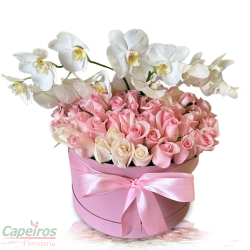 Orquideas y Rosas 02