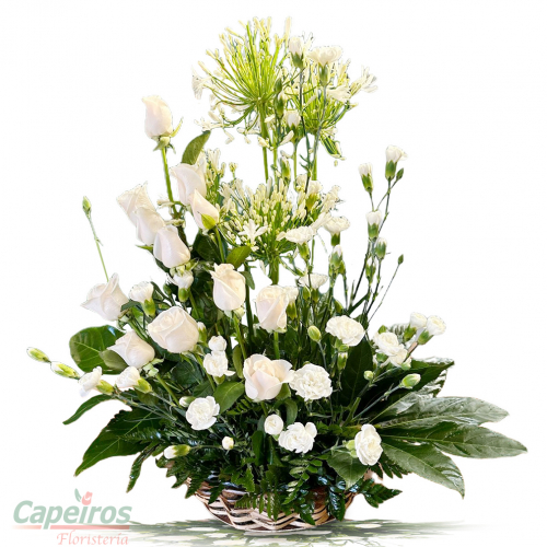 Condolencias 43