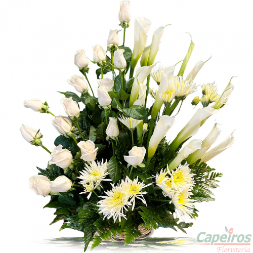 Condolencias 44