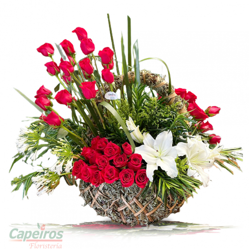 Rosas 162