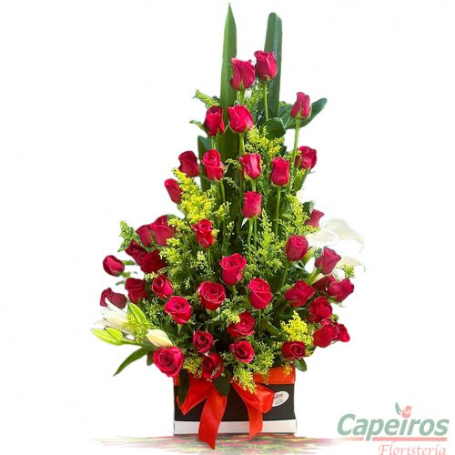Rosas 164