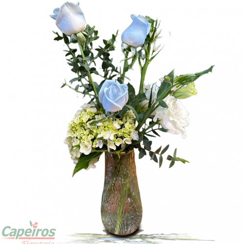 Rosas 154