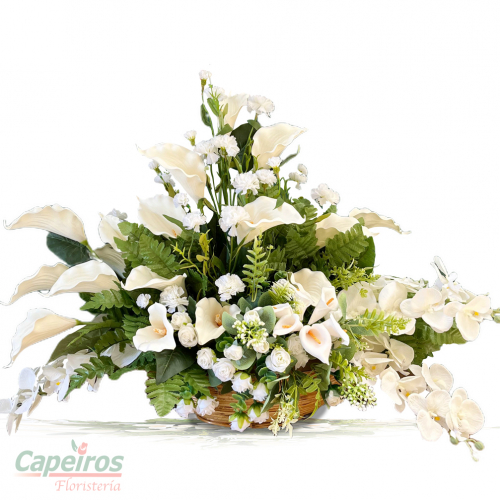Condolencias 047