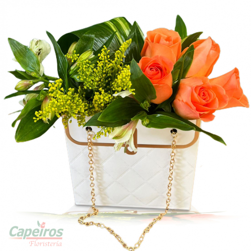Rosas 169