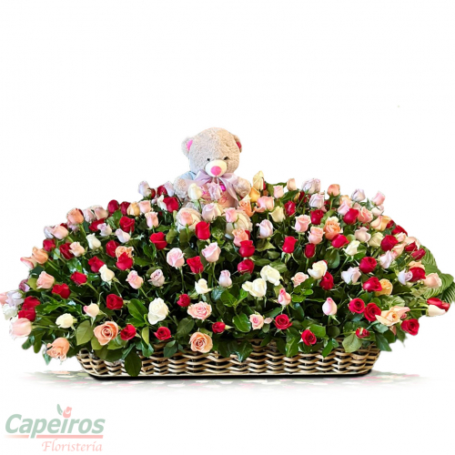 Rosas 173