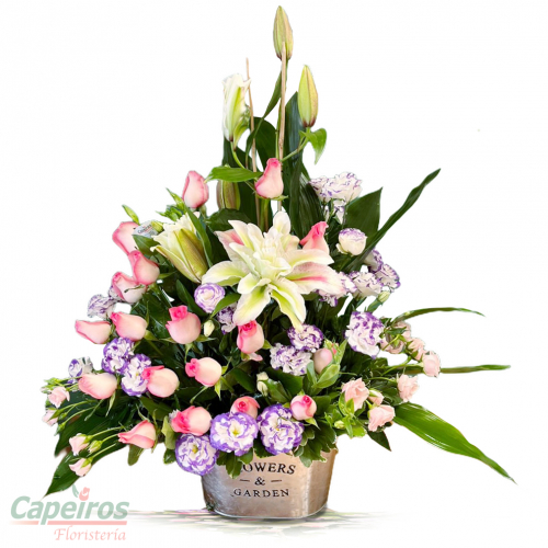 Rosas 171