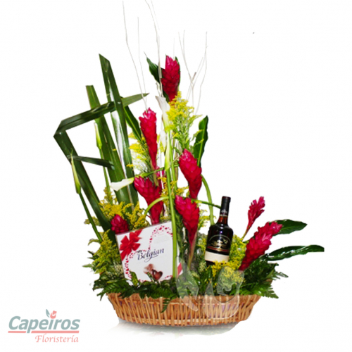 Exotico 31 (Contactar Precio)