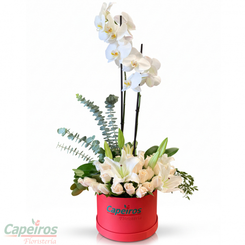 Caja Orquideas y Lirios