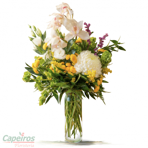 Primaverales con orquidea