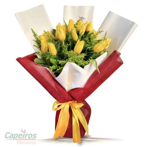 Ramo de Tulipanes