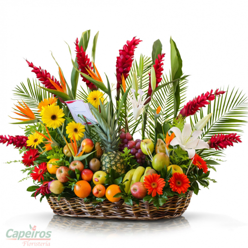 Exotico con Frutas 17