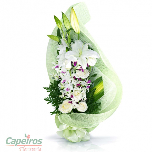 Orquideas Condolencia