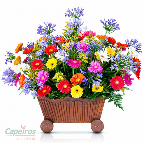Especial 015