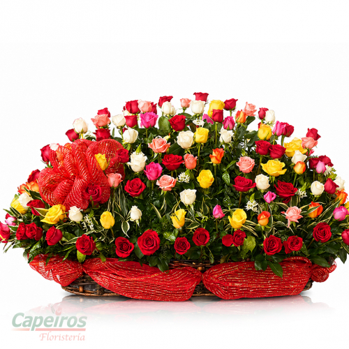Especial 026