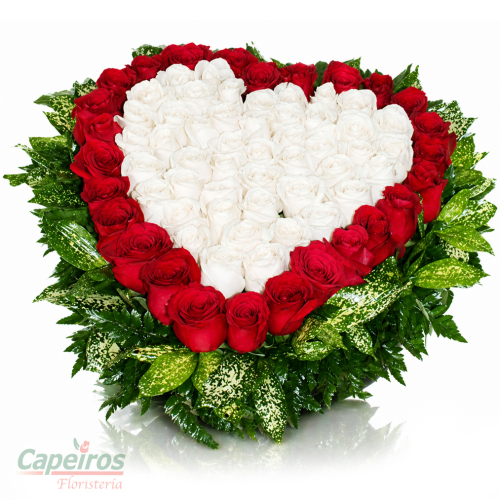 Especial 031