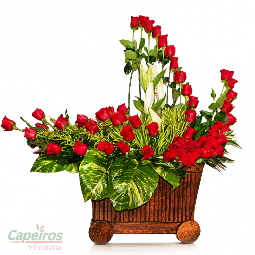 Especial 039