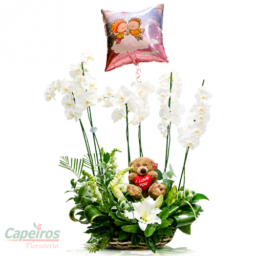 Orquideas 16