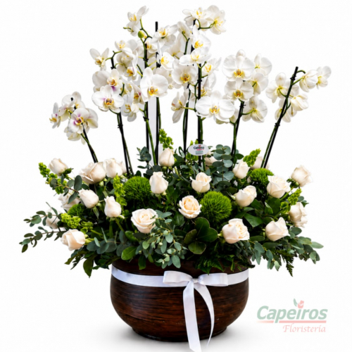 Orquideas 87