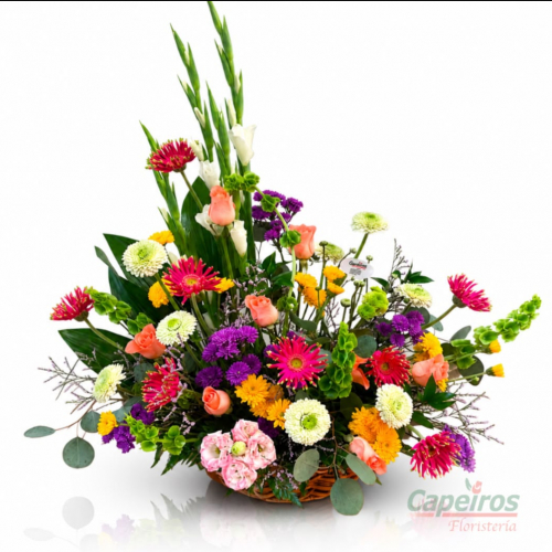 Primaverales 160