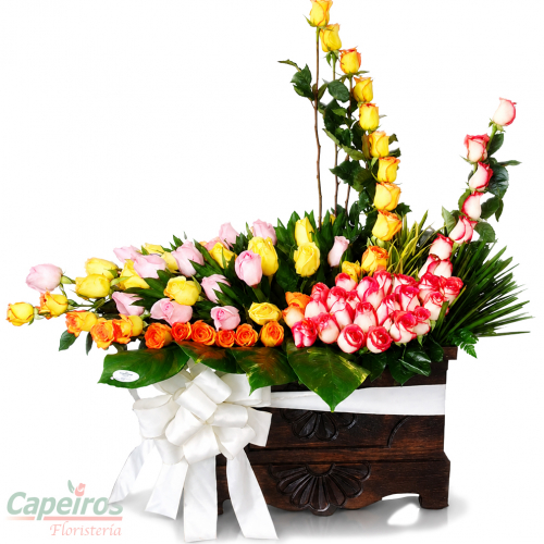 Rosas 052