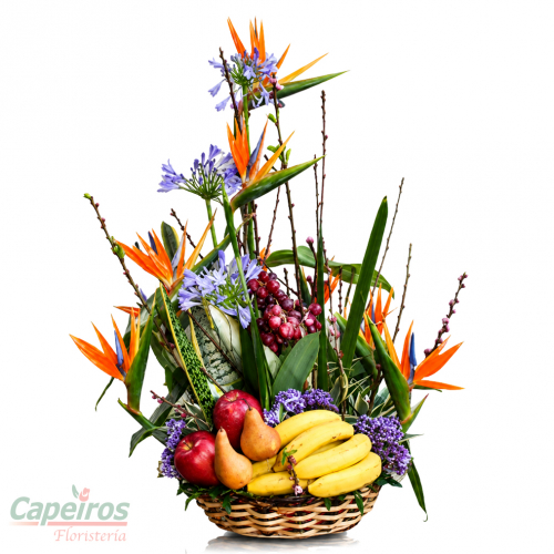 Exotico con Frutas 05