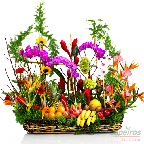 Exotico con Frutas 08