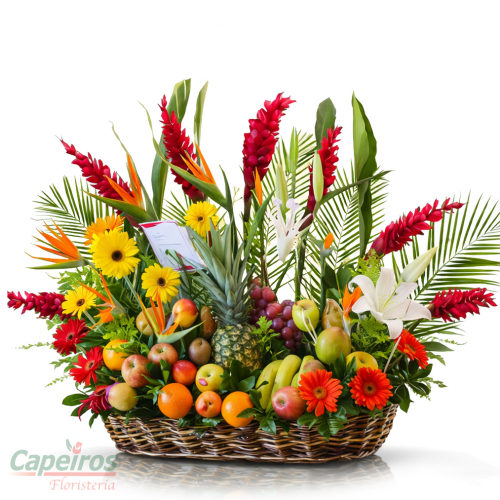 Exotico con Frutas 17