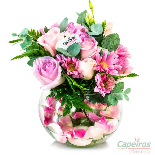 Pecera de Rosas 05