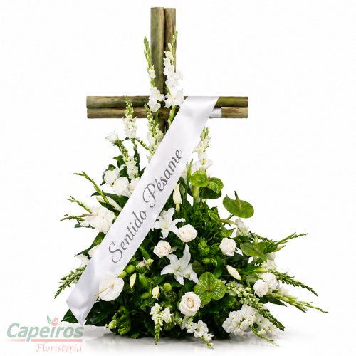 Cruz 18 CRM
