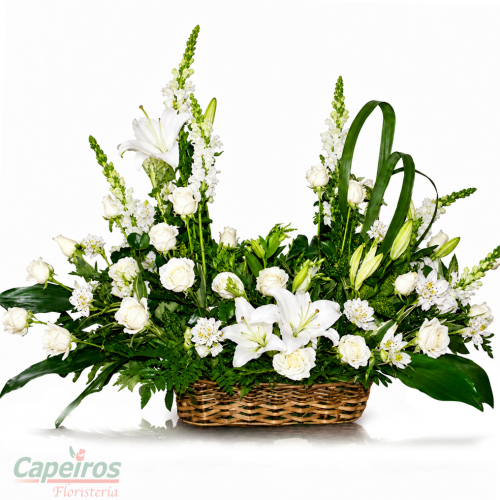 Canasta blanca